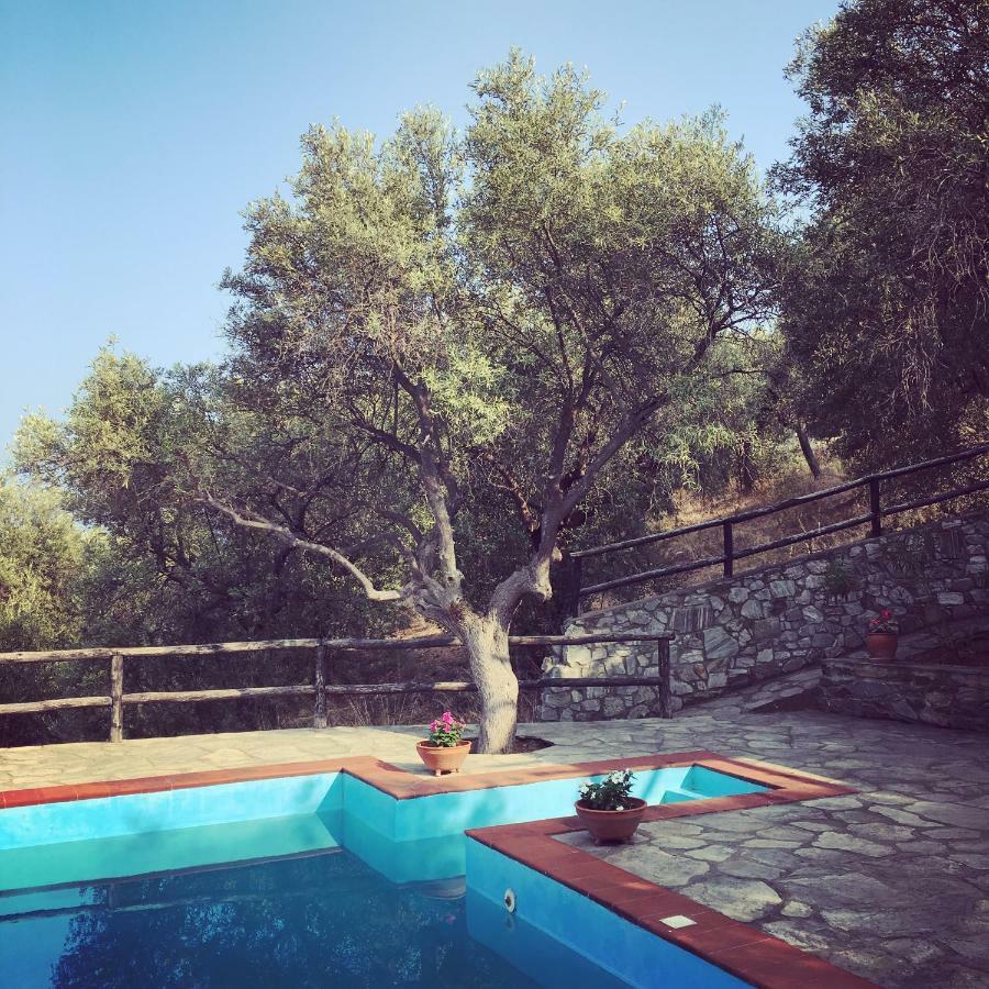 Villa Valia: Traditional Luxurious Residence Pyrgadikia Exterior photo